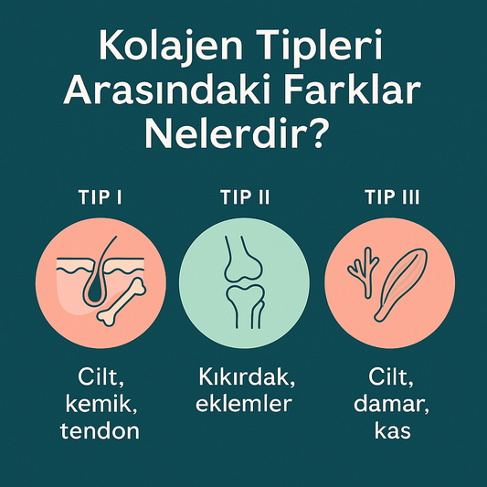 Tip I, II ve III Kolajen Arasındaki Fark Nedir?